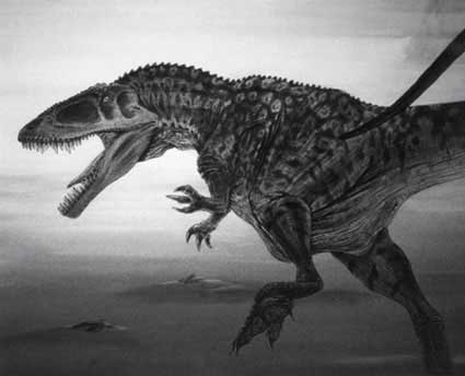 Carcharodontossauro - AVPH