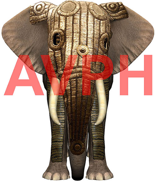 Elefante de guerra - AVPH
