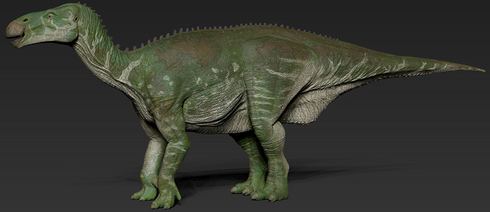Iguanodonte - AVPH