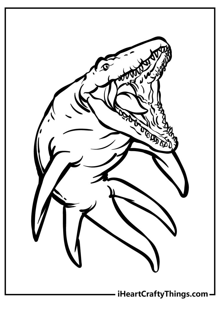 Liopleurodonte