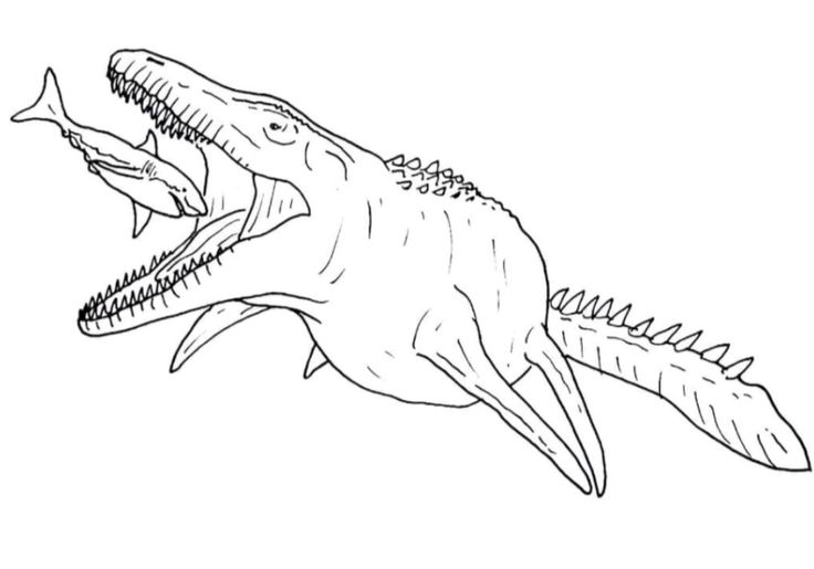 Mosassauro
