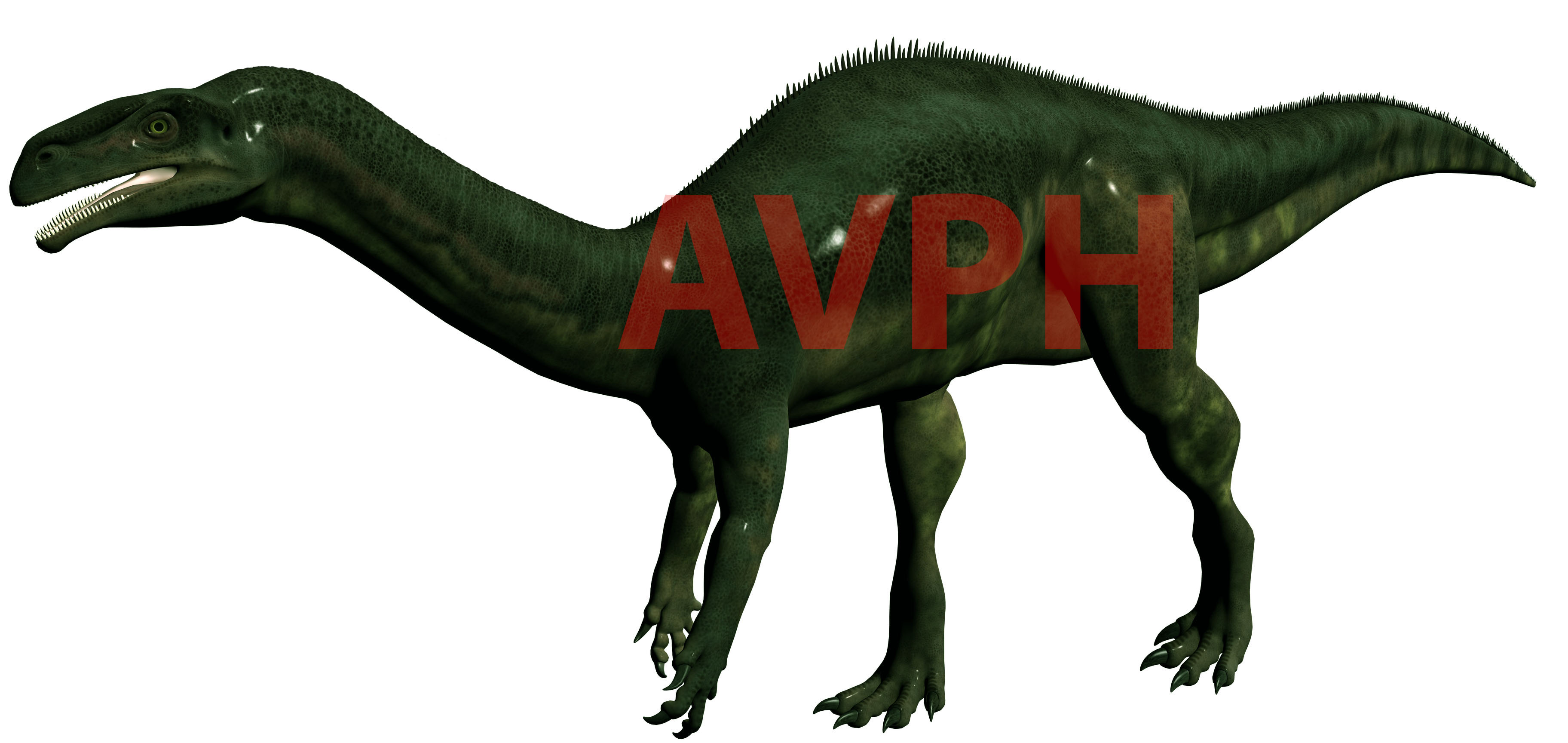 Aardonyx celestae Aardonyx celestae - AVPH