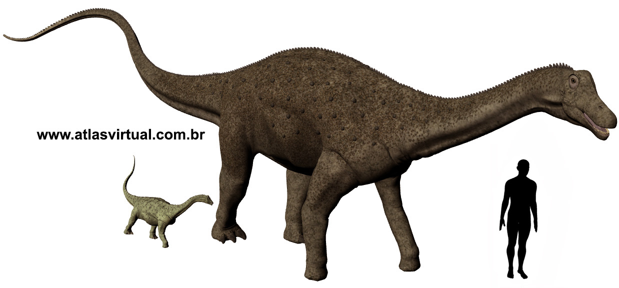 Adamantisaurus mezzalirai - AVPH