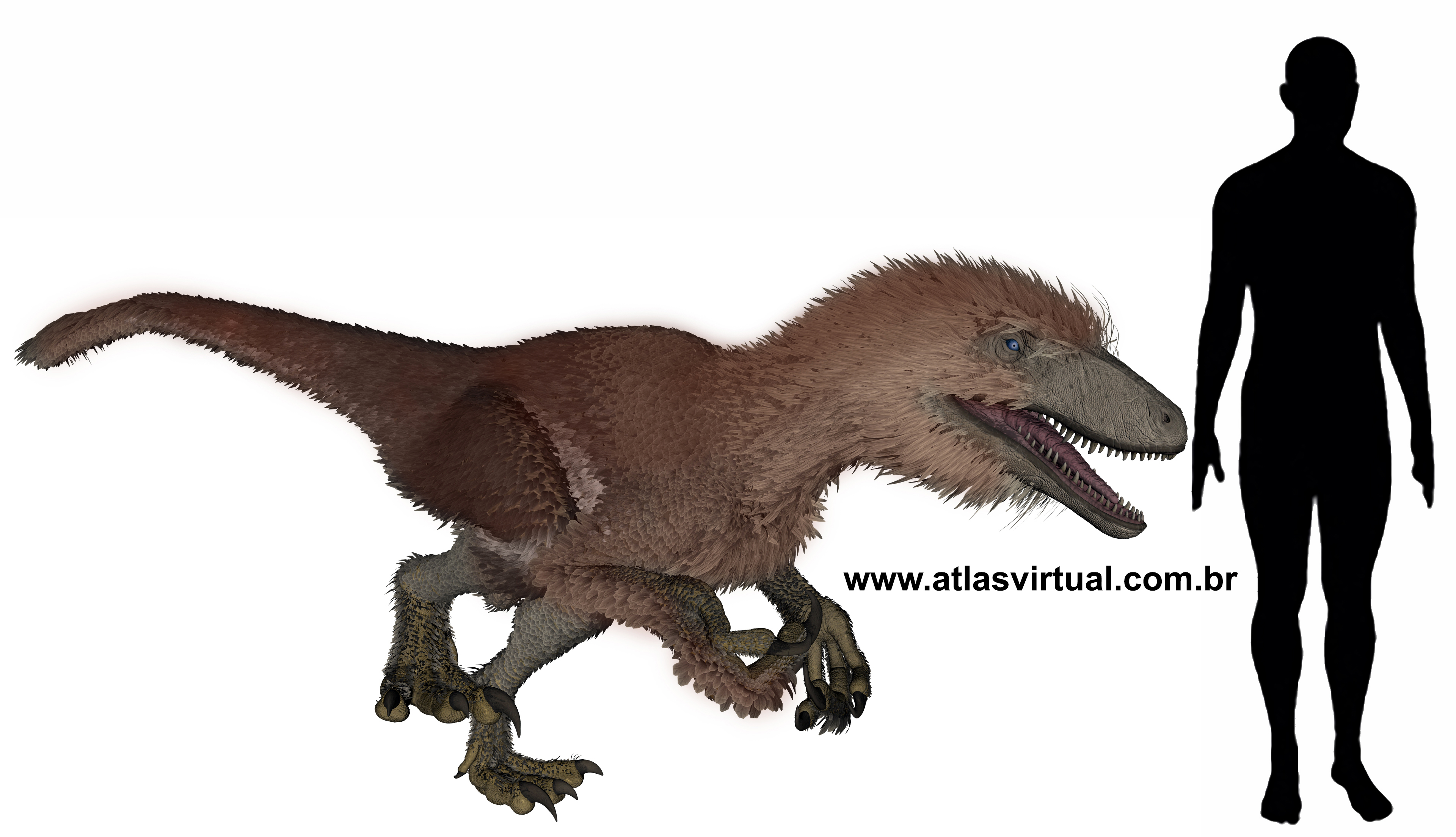 Aratasaurus museonacionali - AVPH