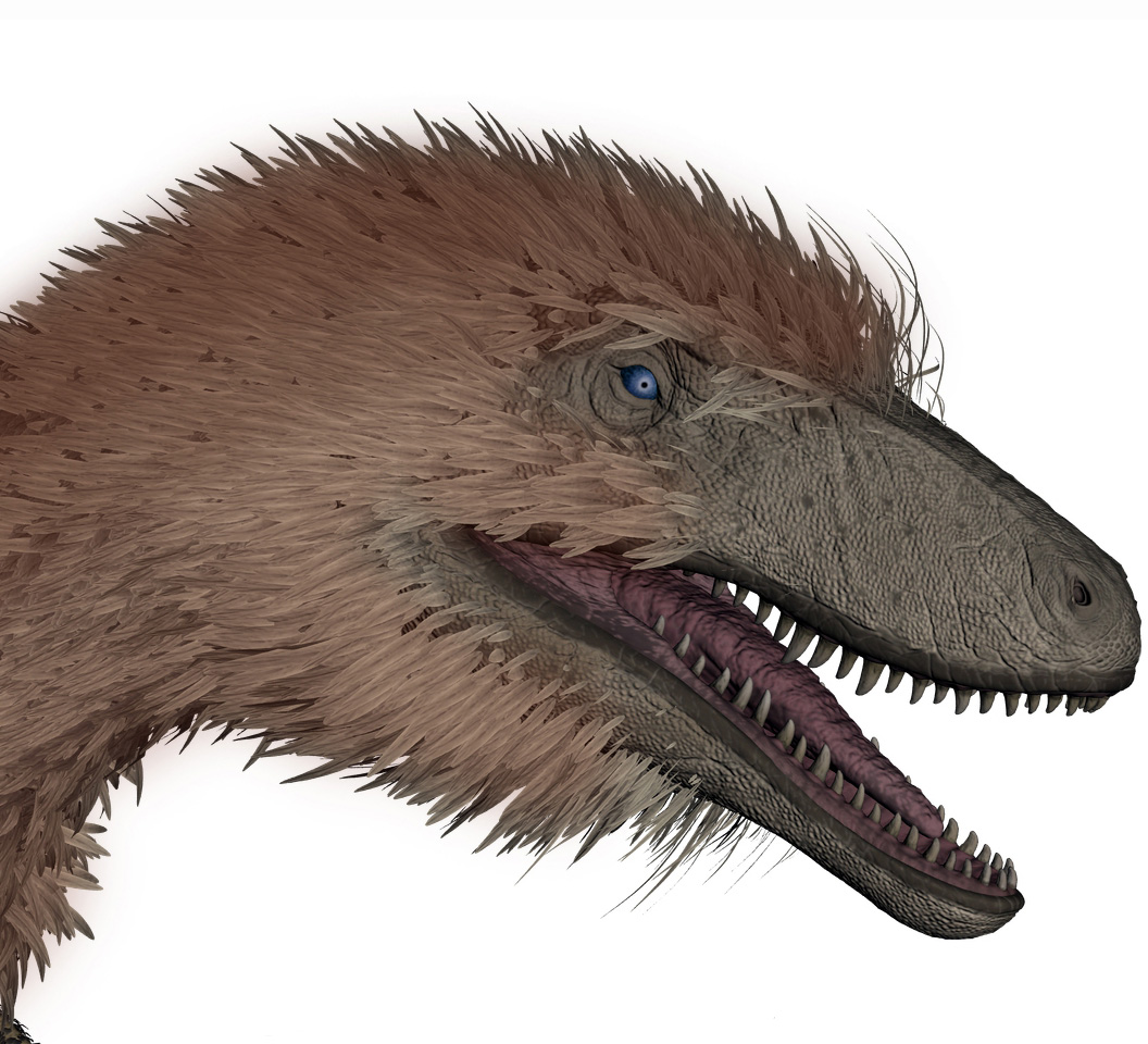 Aratasaurus museonacionali - AVPH