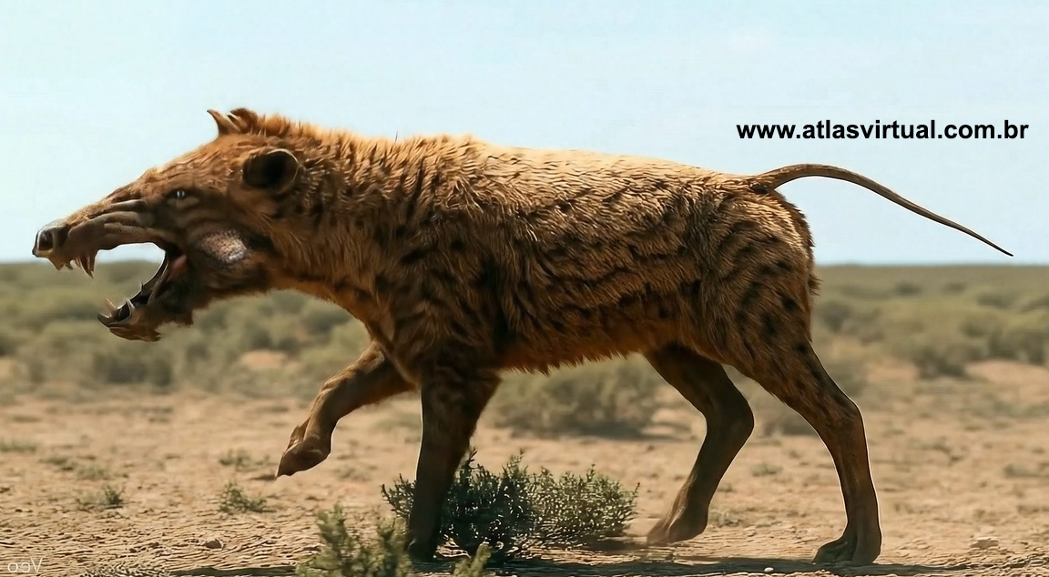 Archaeotherium mortoni Archaeotherium mortoni - AVPH
