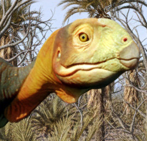 Berthasaura leopoldinae - AVPH