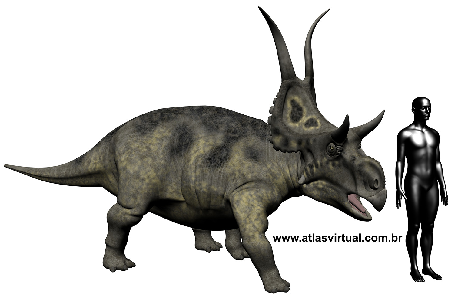 Diabloceratops eatoni - AVPH
