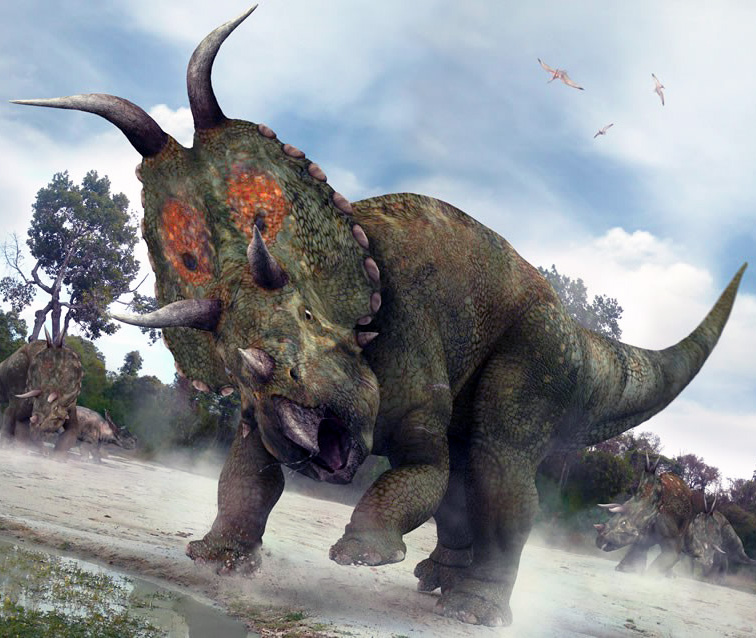 Diabloceratops eatoni - AVPH