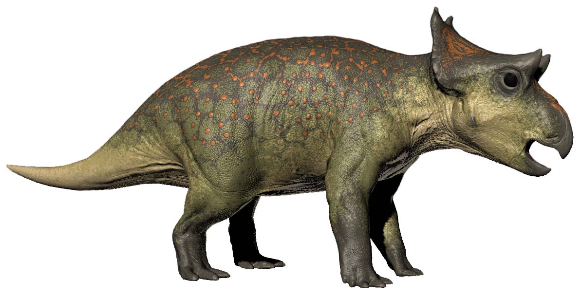 Diabloceratops eatoni - AVPH