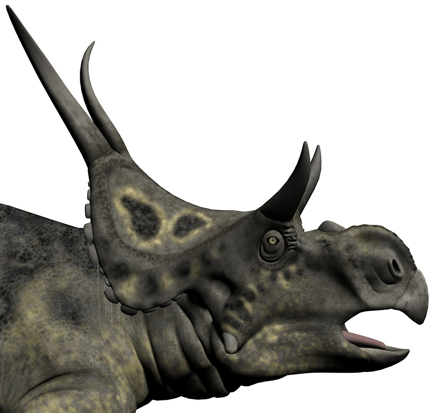 Diabloceratops eatoni - AVPH