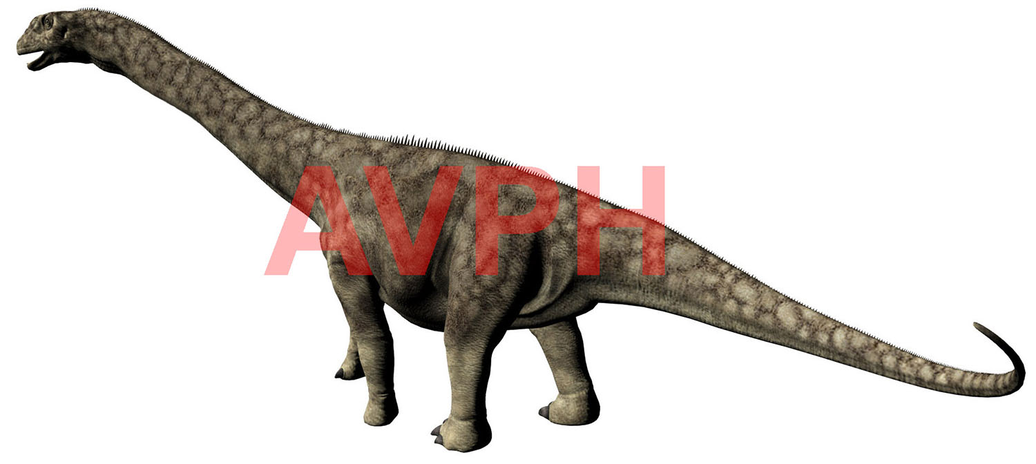 Dreadnoughtus - AVPH