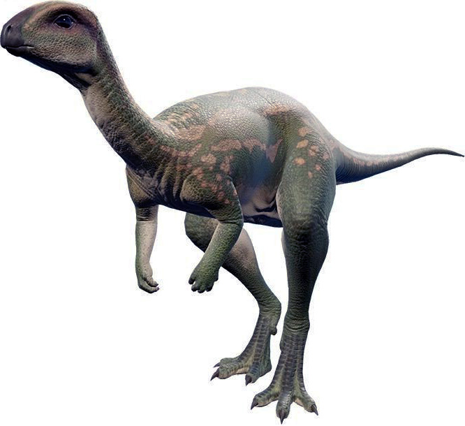Dryosaurus altus Dryosaurus altus - AVPH