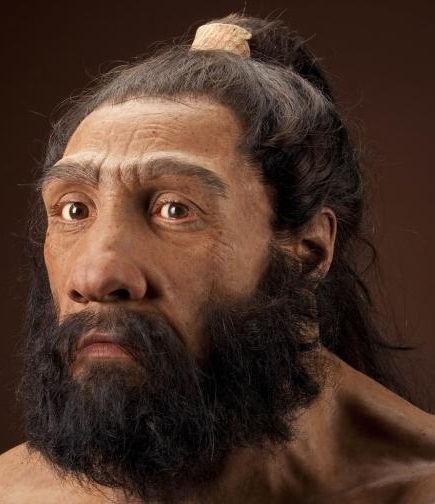 Neanderthal - AVPH
