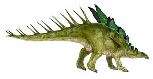 Kentrosaurus aethiopicus - AVPH