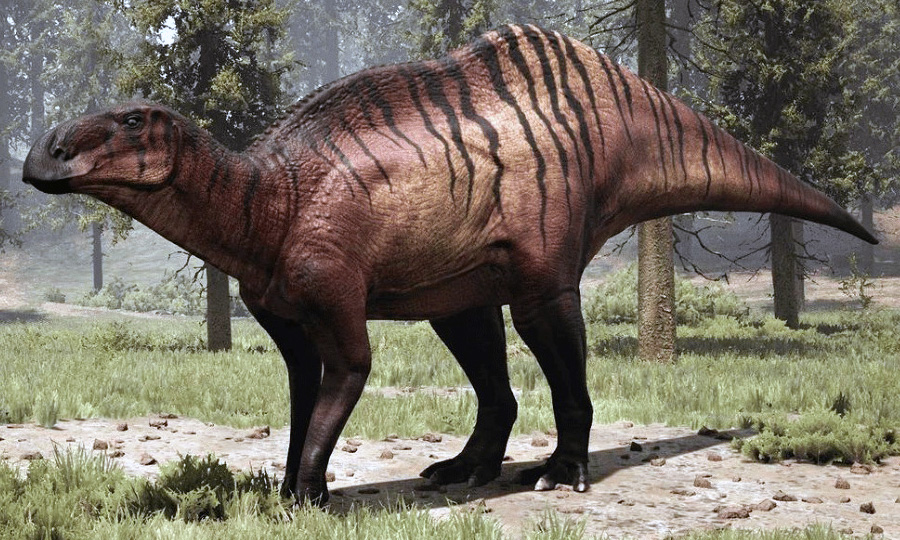 Maiasaura peeblesorum Maiasaura peeblesorum - AVPH
