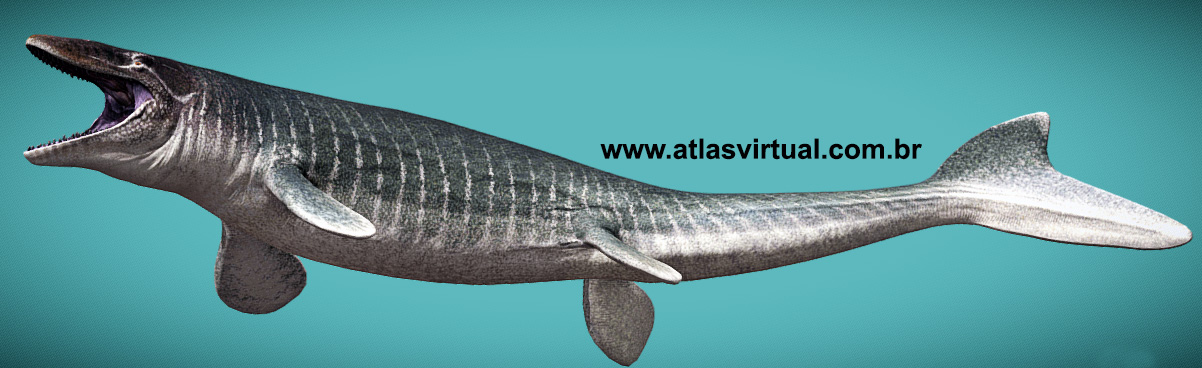 Mosasaurus hoffmannii - AVPH