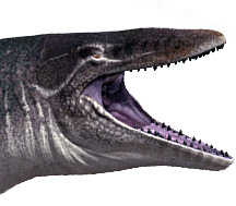 Mosasaurus hoffmannii - AVPH
