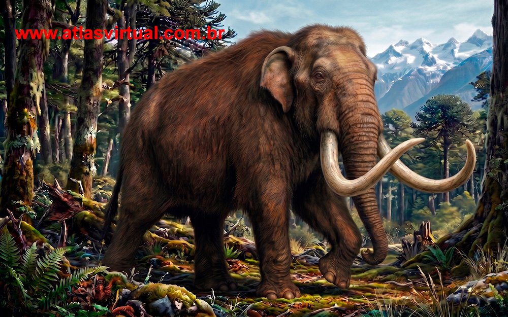Notiomastodon platensis - AVPH