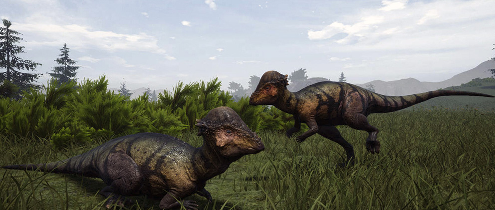 Pachycephalosaurus wyomingensis - AVPH