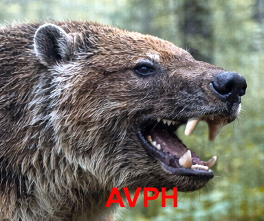 Proborhyaena gigantea - AVPH
