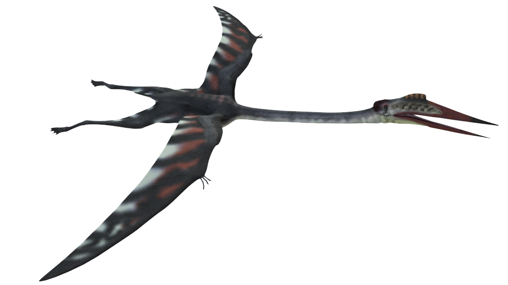 O Quetzalcoatlus (Quetzalcoatlus northropi) era um pterossauro gigantesco, ...