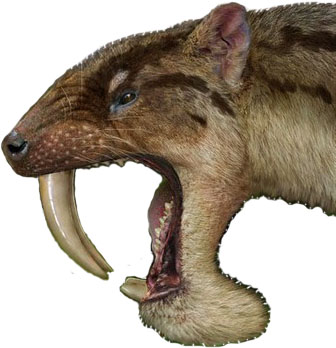 Thylacosmilus atrox - AVPH