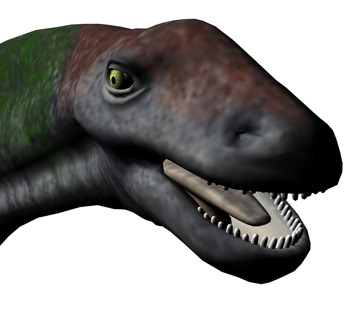 Titanosaurus blanfordi - AVPH