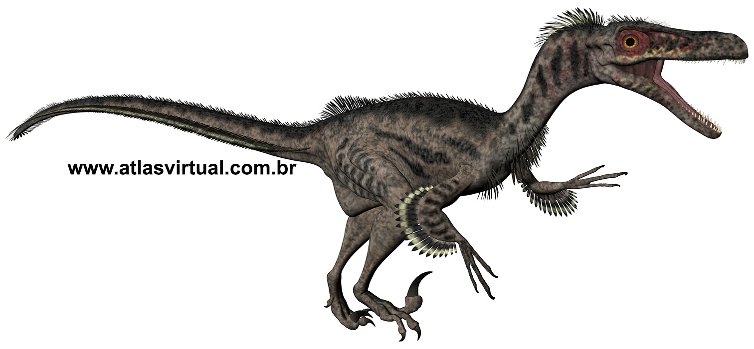 Velociraptor mongoliensis Velociraptor mongoliensis - AVPH